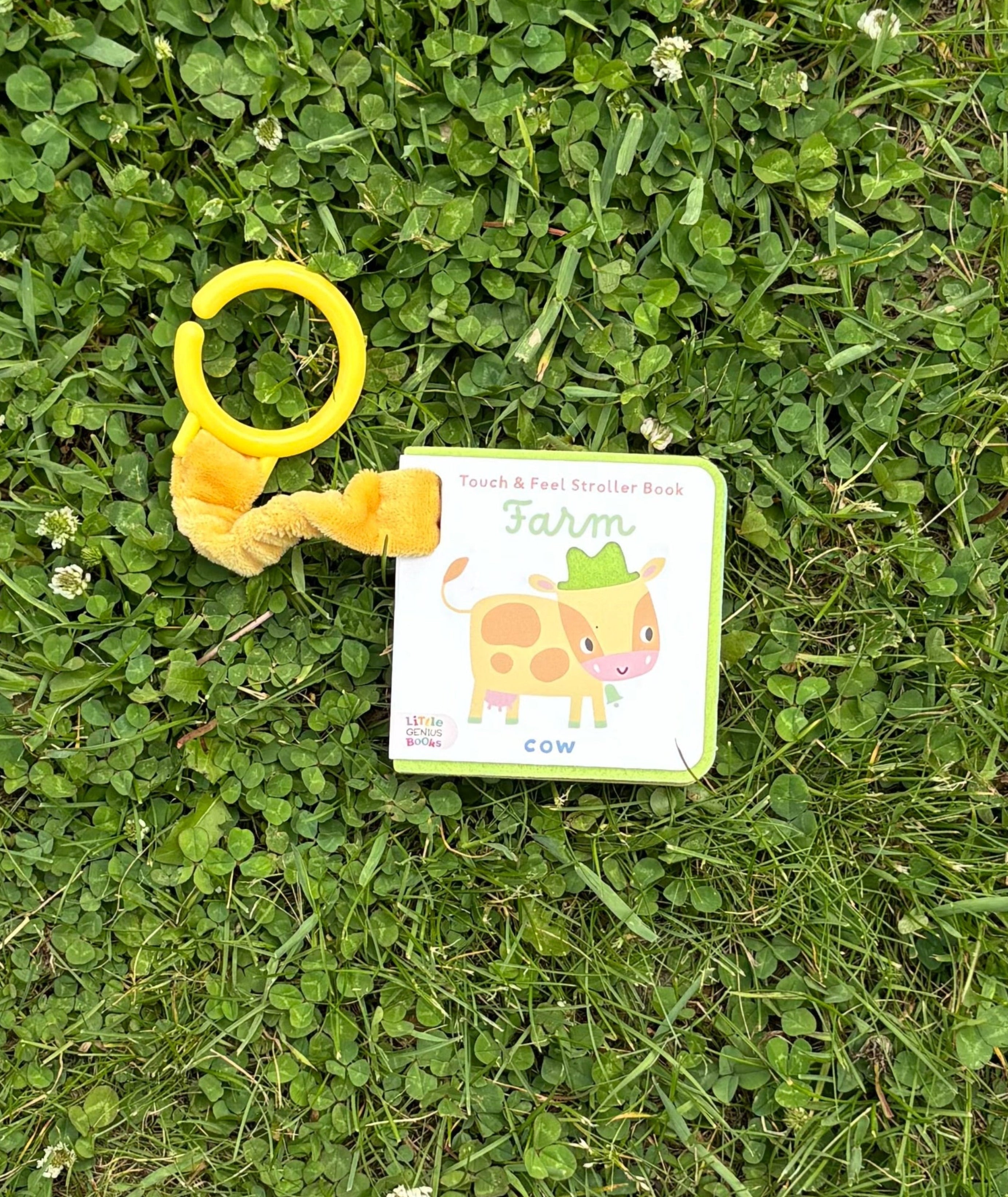 Stroller Book- Farm
