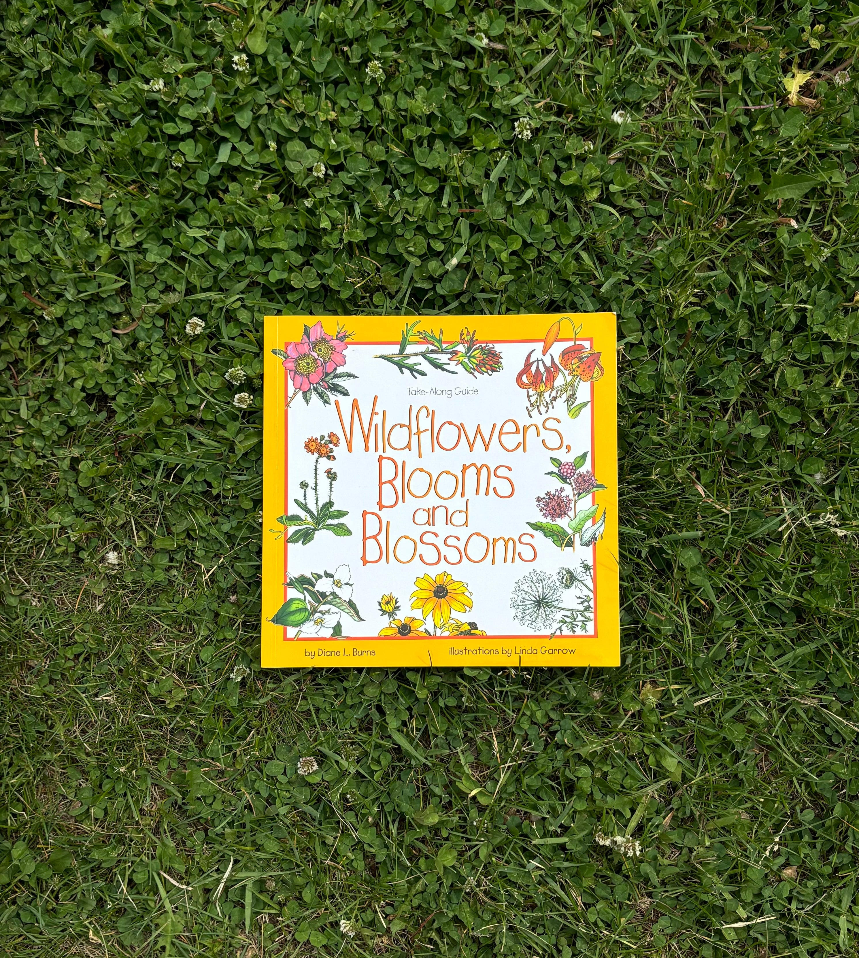 Wild Flowers, Blooms and Blossoms