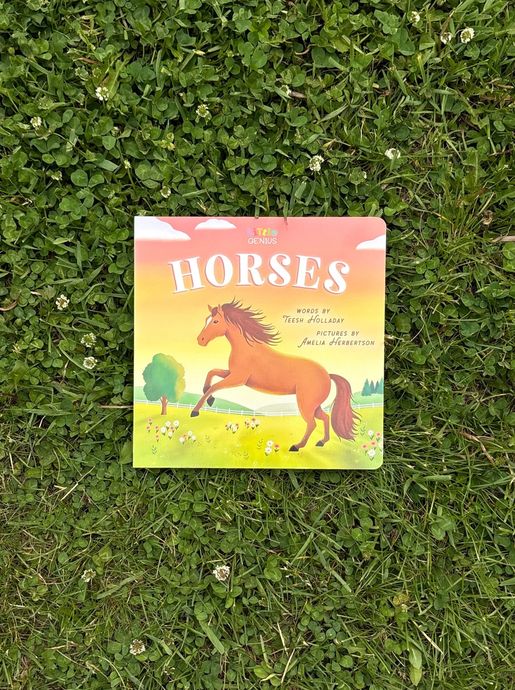 Horses