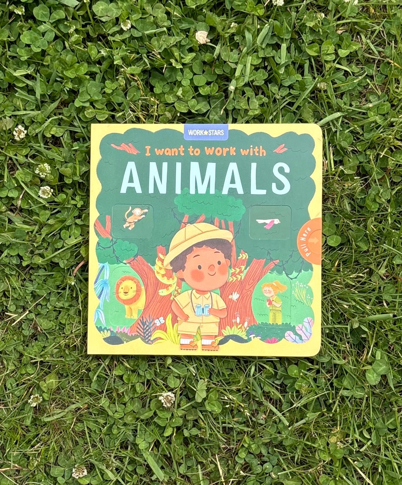 I Want to Work With Animals