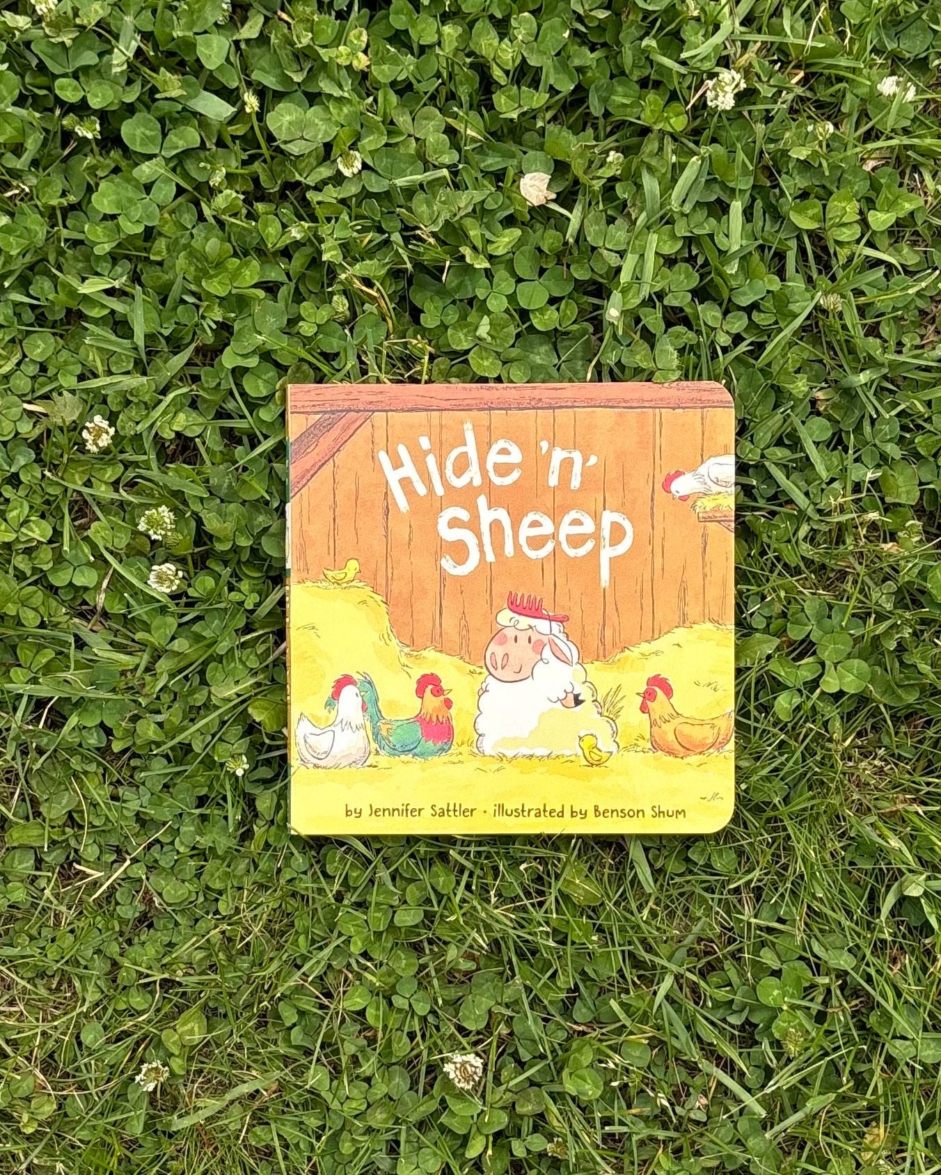 Hide 'n' Sheep