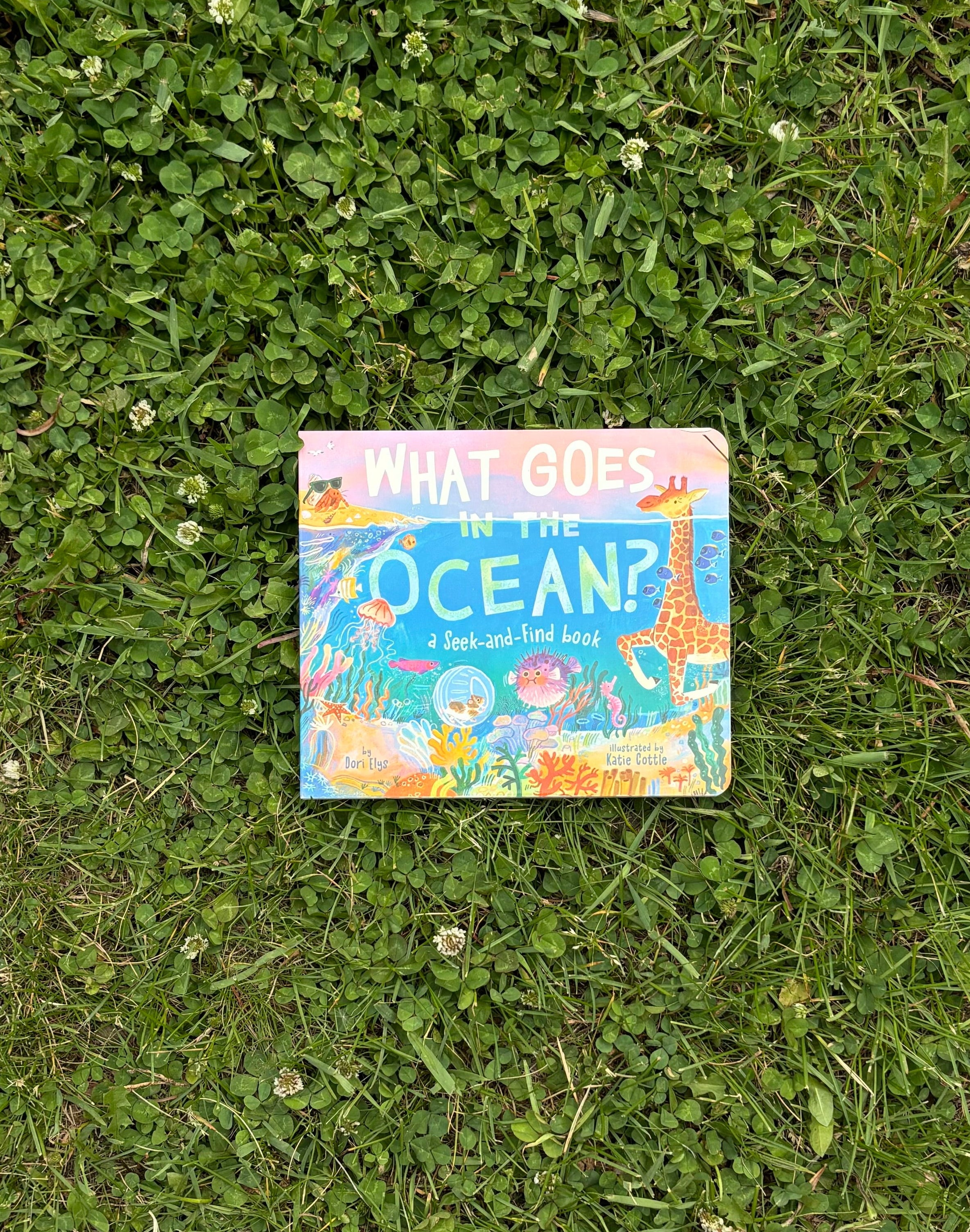 What is in the Ocean?